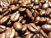 high quality coffee beans
