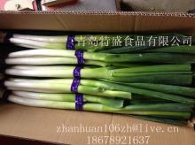 scallion