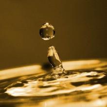 Karanjia Oil