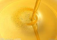 Refined or Crude Rapeseed Oil for Biodiesel and Cooking