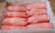 Frozen Pork Front Feet
