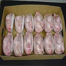 chicken box,frozen chicken carton box,PE lined cardboard,waterpoof box