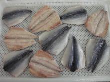 Frozen Mackerel Flaps
