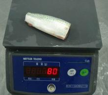 IQF frozen Mackerel HGT T-cut