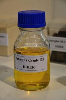 Crude  Jatropha  oil
