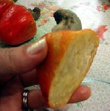 RAW CASHEW NUTS IN SHELLS