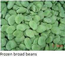  frozen   broad   bean s