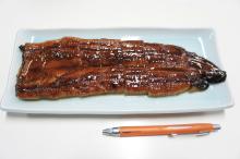 Kabayaki   roasted   eel 