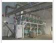chili proder processing line