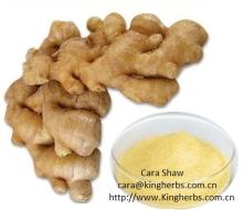  Gingerol 