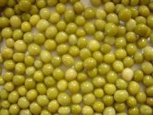 canned green peas