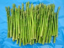  canned   asparagus 