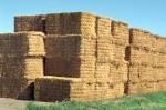 Mix hay