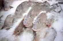Frozen fish