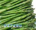  IQF   green   asparagus 