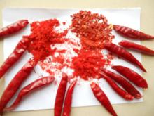 Chili  red   pepper 