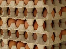 Fresh Eggs