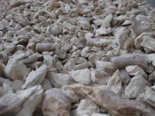  Dried   Tapioca   Chip s (Cassava  Chip s)