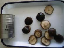 canned shiitake mushroom