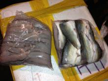 Mud Carp Fillets