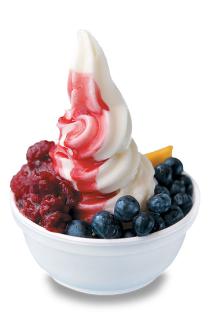 frozen  yogurt   mix ,frozen  yogurt  powder for frozen  yogurt 