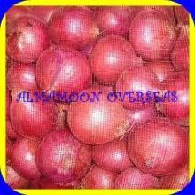 RED ONION