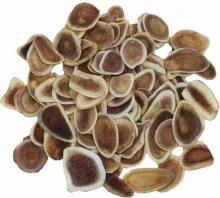 Deer Velvet Antler Extract/ Antler Blood Powder