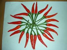 Fresh Red Chilli