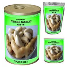  Ginger  &  Garlic   paste  (Lingering Flavored)
