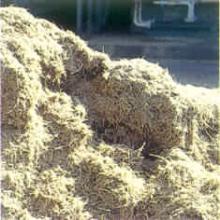 Fermented and Non Bagasse