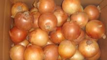 Fresh Yellow Onion