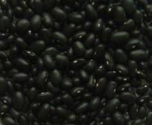 Small Black kidney beans
