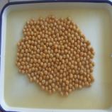 Canned Chick  Pea  High quality