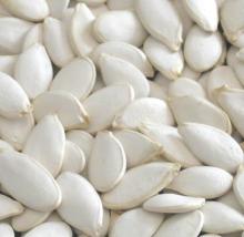 Melon Seeds