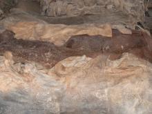  CATTLE  AND COW SKIN FOR  SALE 
