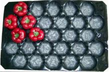 pp fruit tray