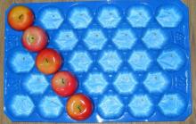 Plastic Container Food Packaging
