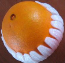  FRUIT  TRAY
