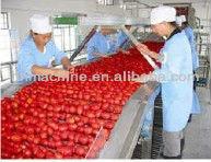 High Efficiency Tomato paste Ketchup Production Line