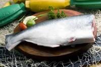  Pangasius  ,  Basa  , Swai