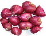 ONION