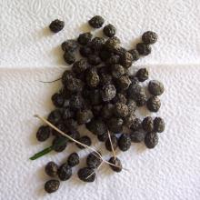  RABBIT  PELLETS