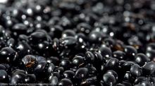 BLACK LENTILS