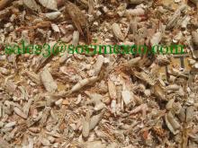 Shrimp shell with competitive price