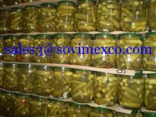 canned cucumber with competitive price