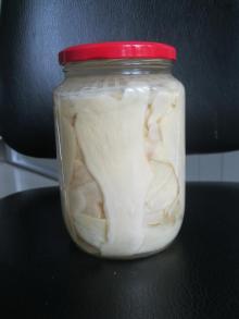  canned   ginger  with competitive price
