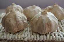 black  garlic   bulb 
