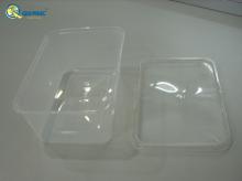 Disposable food container