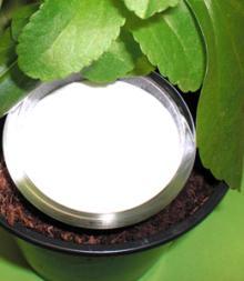 stevia Reb-A 90%