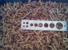 Frozen Nameko / IQF nameko
